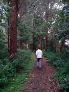 klik om te vergroten