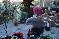 klik om te vergroten