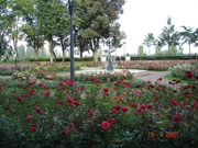 click om te vergroten